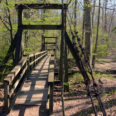 Hike a 7 Mile Loop Through Part of Prince William Forest Park