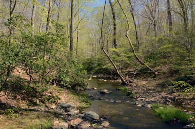 Hike a 7 Mile Loop Through Part of Prince William Forest Park