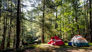 Camp at Kittatinny Campground