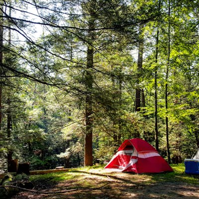 Camp at Kittatinny Campground
