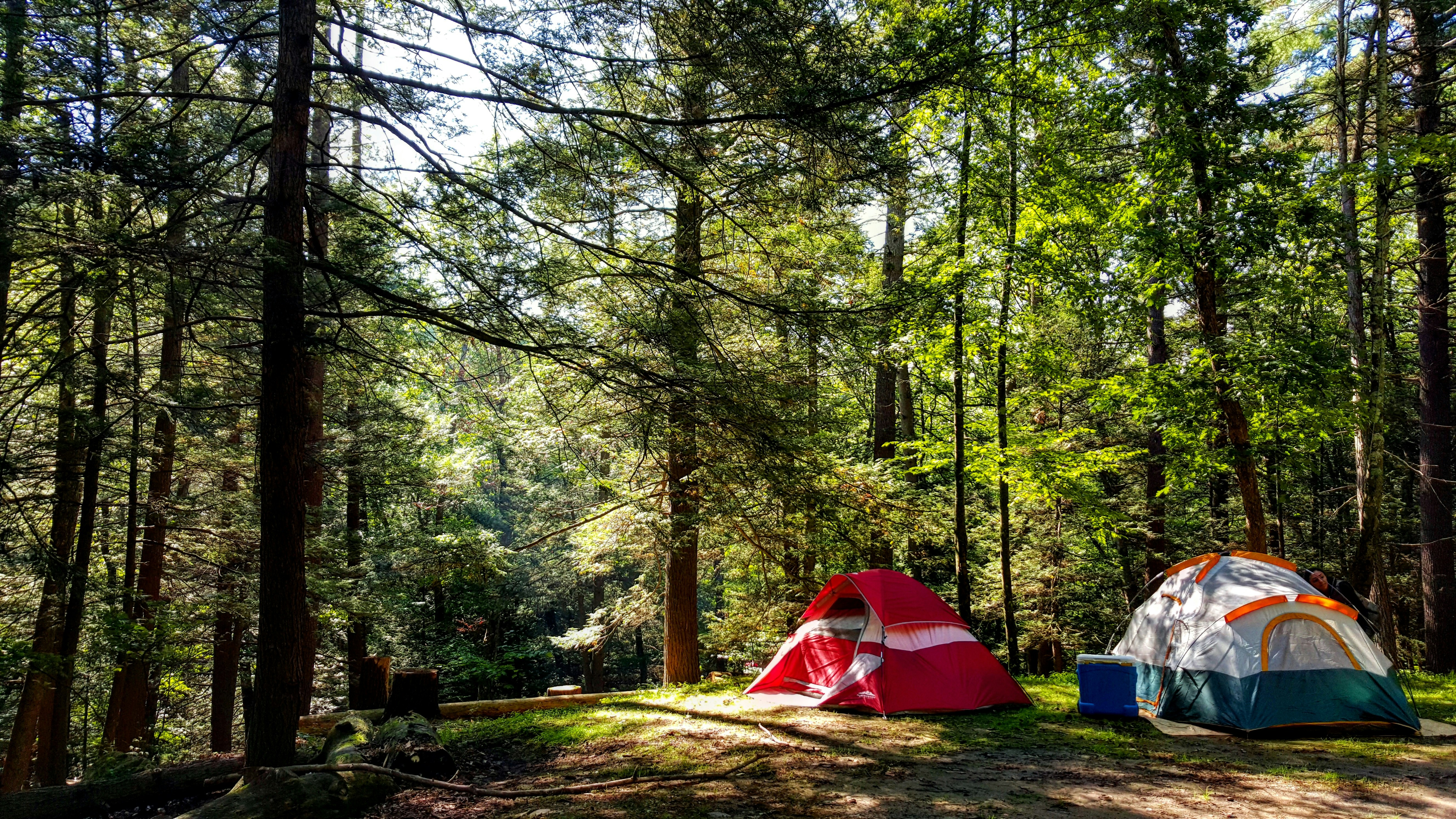 Escape To Kittatinny: Your Unforgettable New York Campground Adventure
