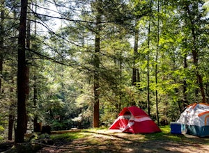 Camp at Kittatinny Campground