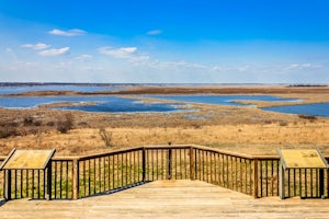 Hike through the Wetlands of the Horicon Marsh