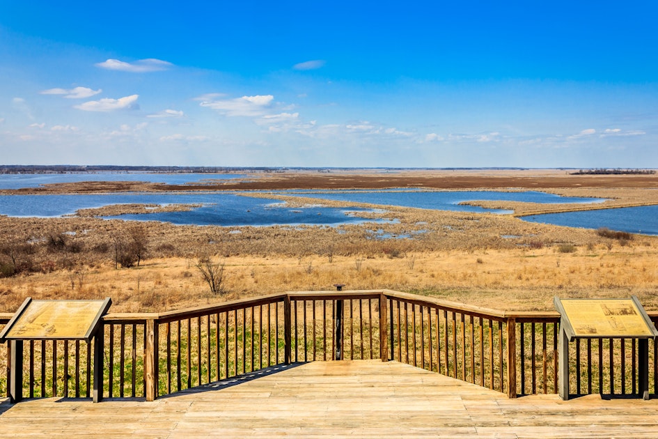 Hike through the Wetlands of the Horicon Marsh, Wisconsin