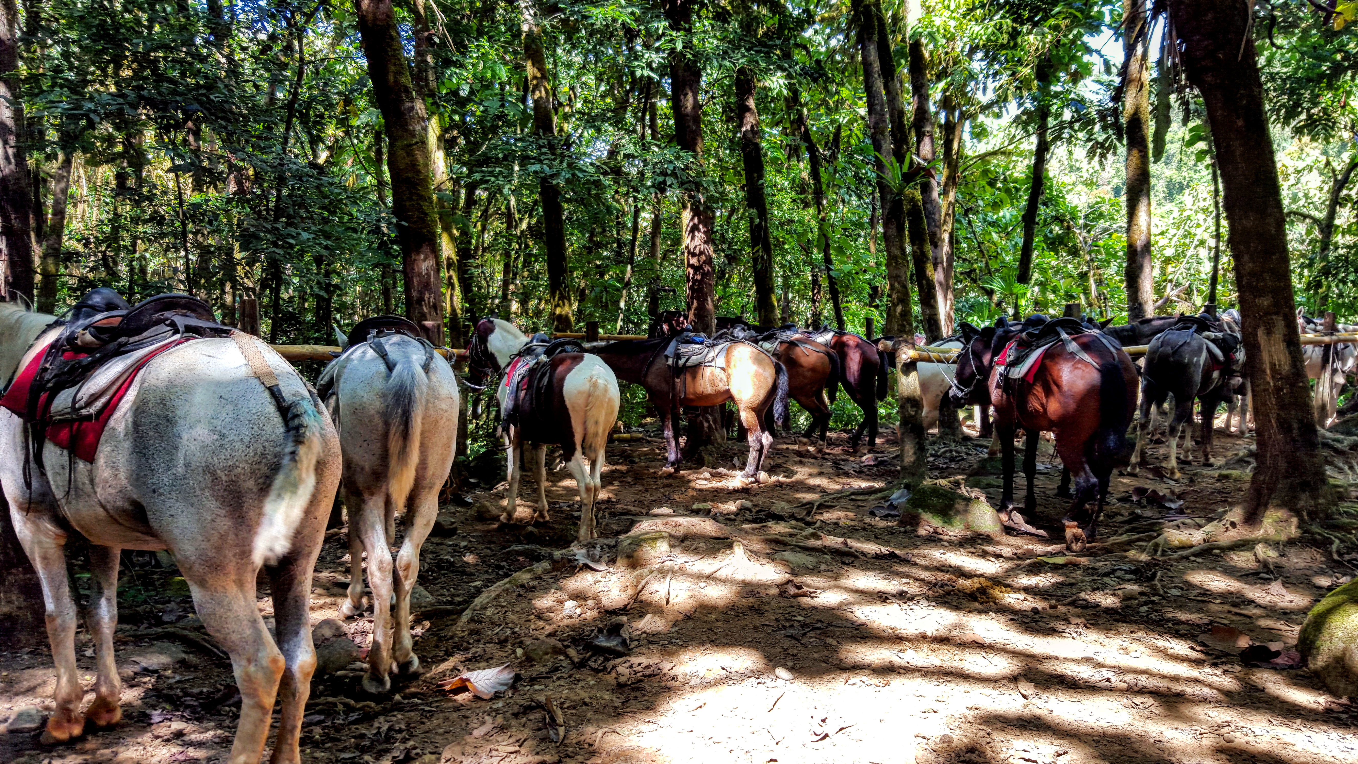 Hike to Nauyaca Waterfalls
