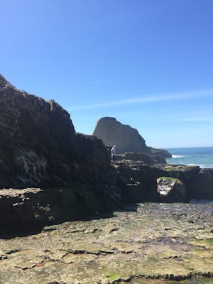 Sea Caves at Panther Beach 