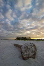 Hike Holmes Beach 