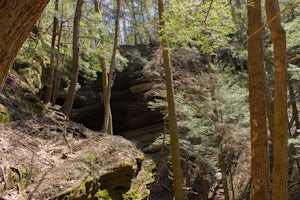 Hike the Cantwell Cliffs Loop