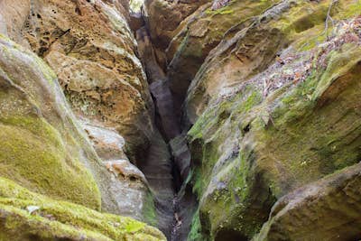 Hike the Cantwell Cliffs Loop