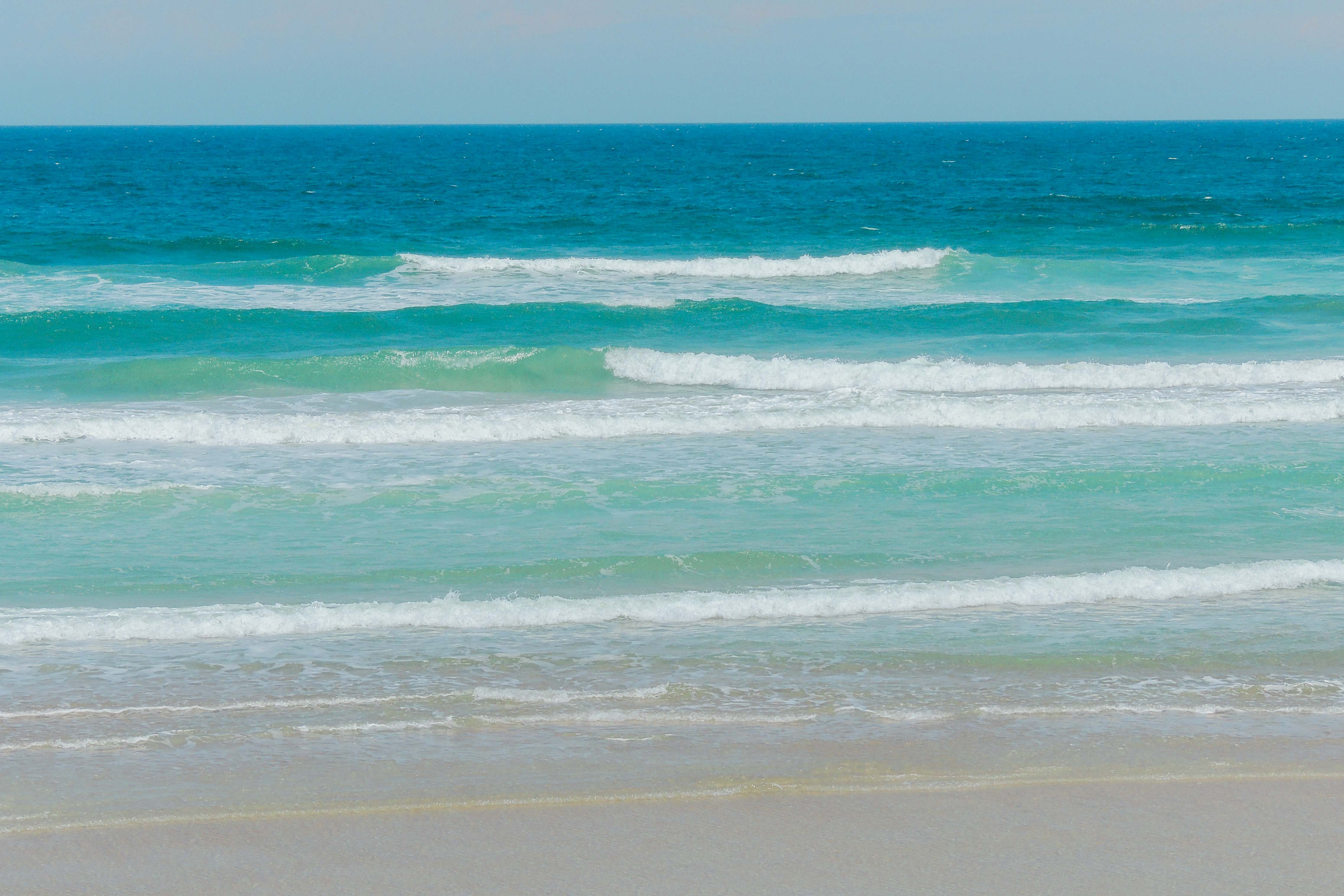 Hike Castle Windy Trail at Canaveral National Seashore
