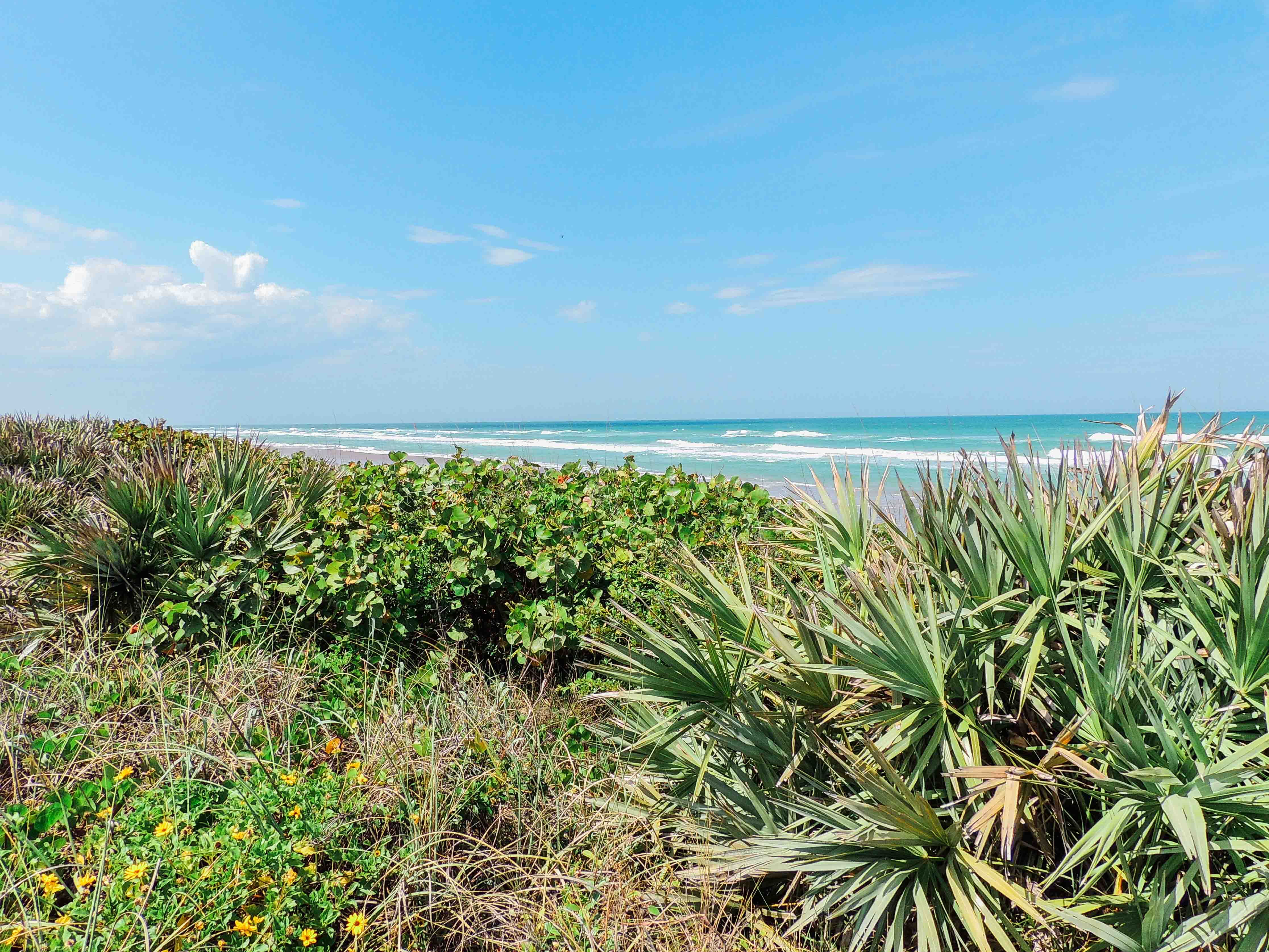 The Best Trails And Outdoor Activities In And Near New Smyrna Beach Florida
