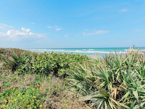 Hike Castle Windy Trail at Canaveral National Seashore