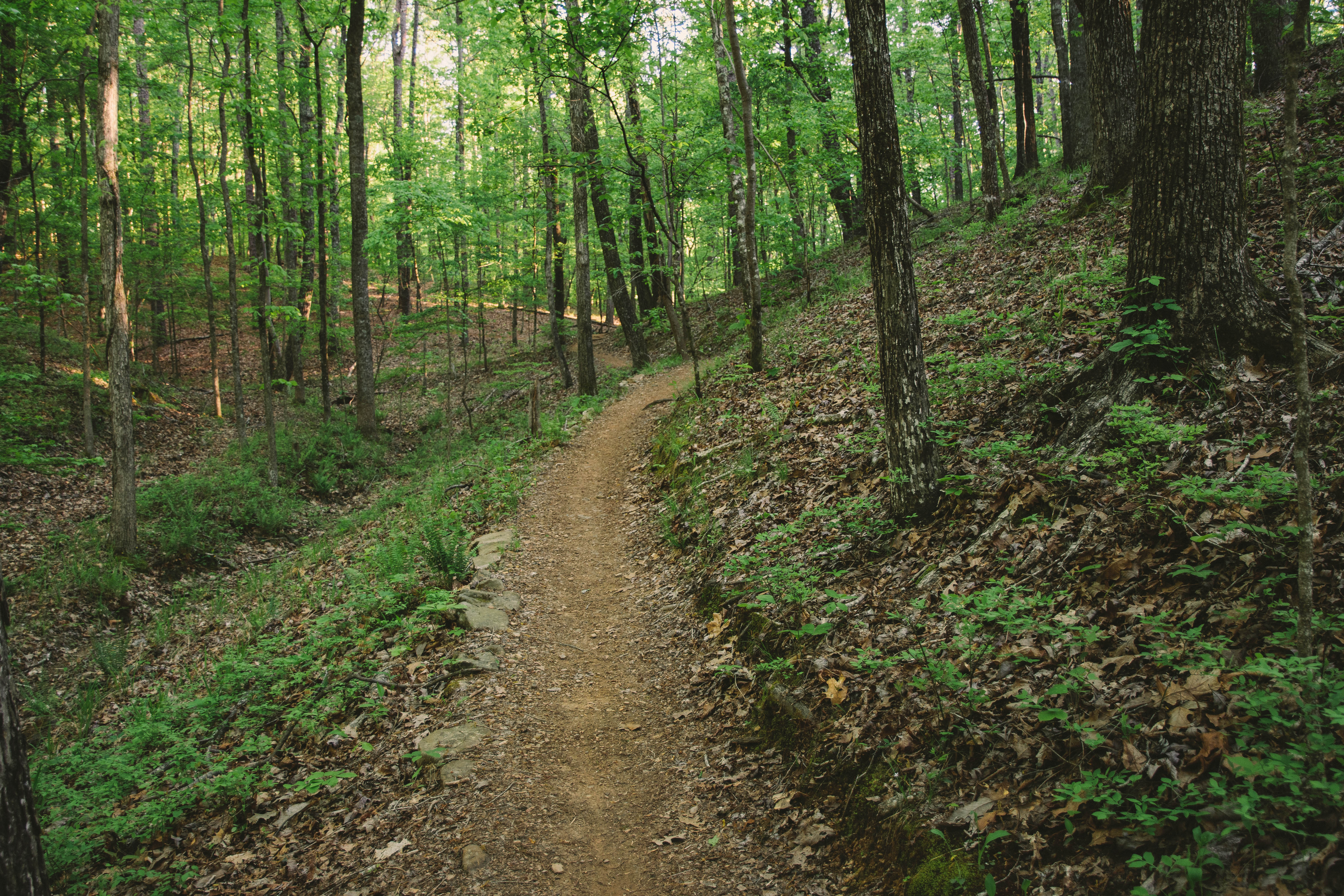 Mountain Bike at Oak Mountain State Park