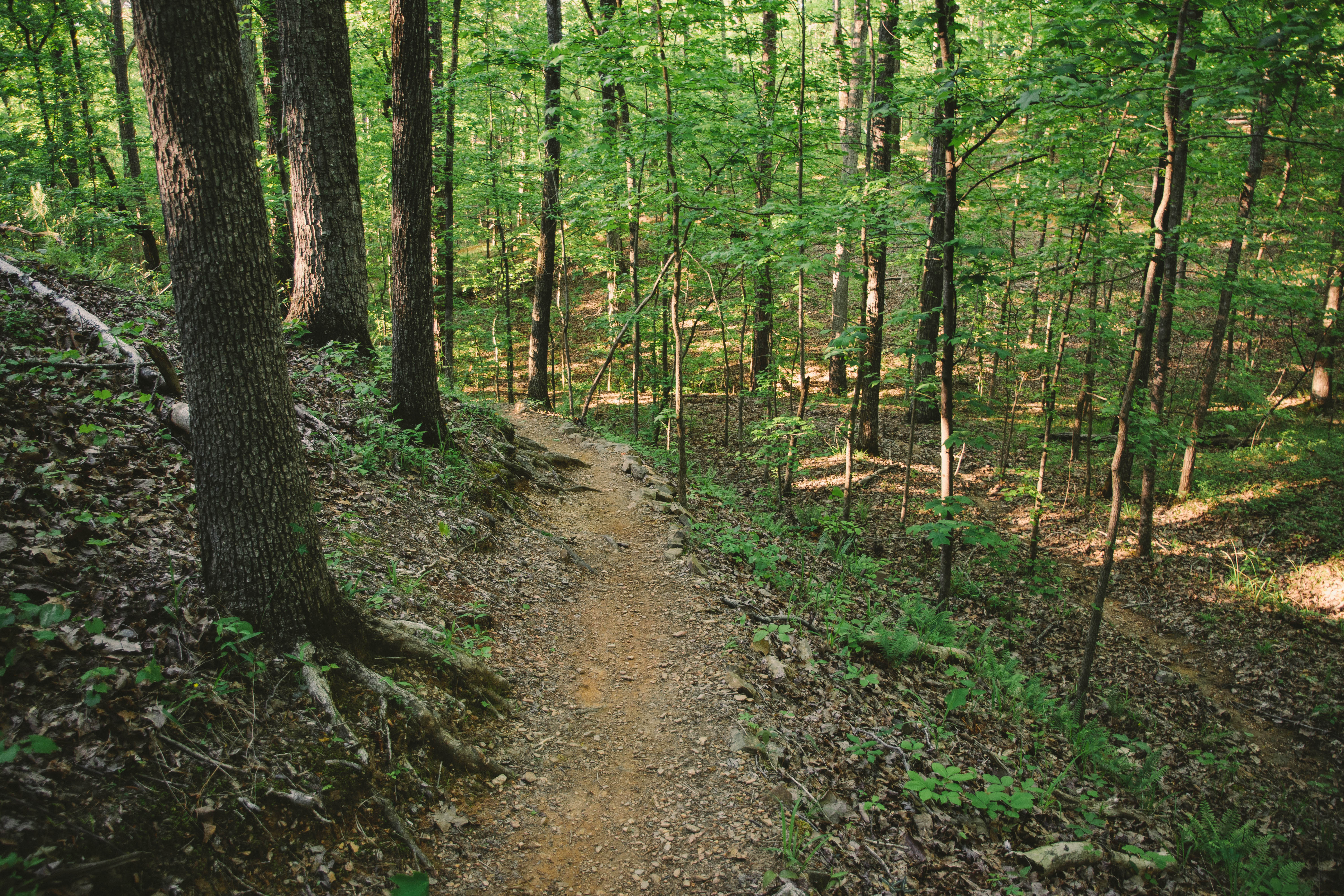 Mountain Bike at Oak Mountain State Park