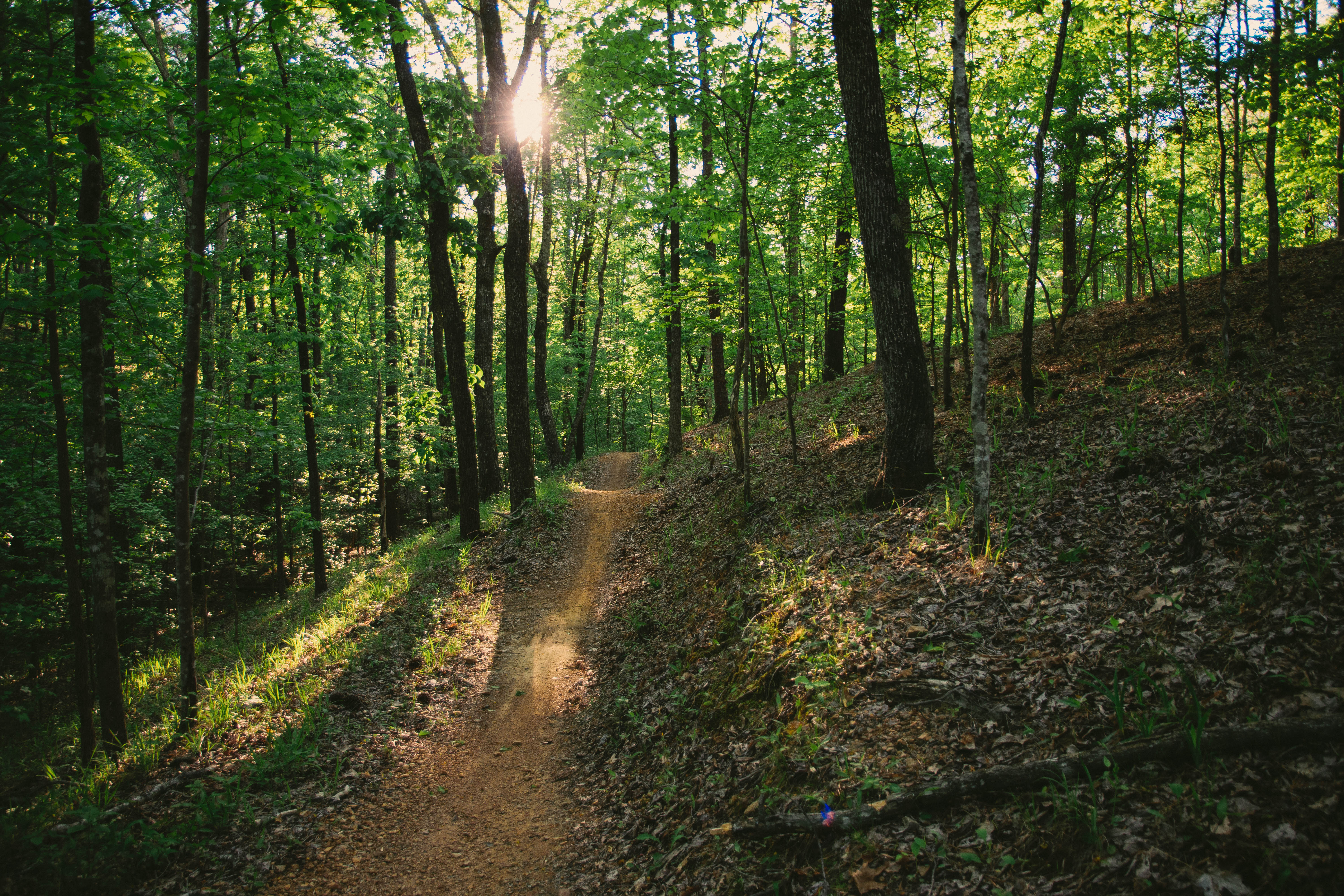 Mountain Bike at Oak Mountain State Park