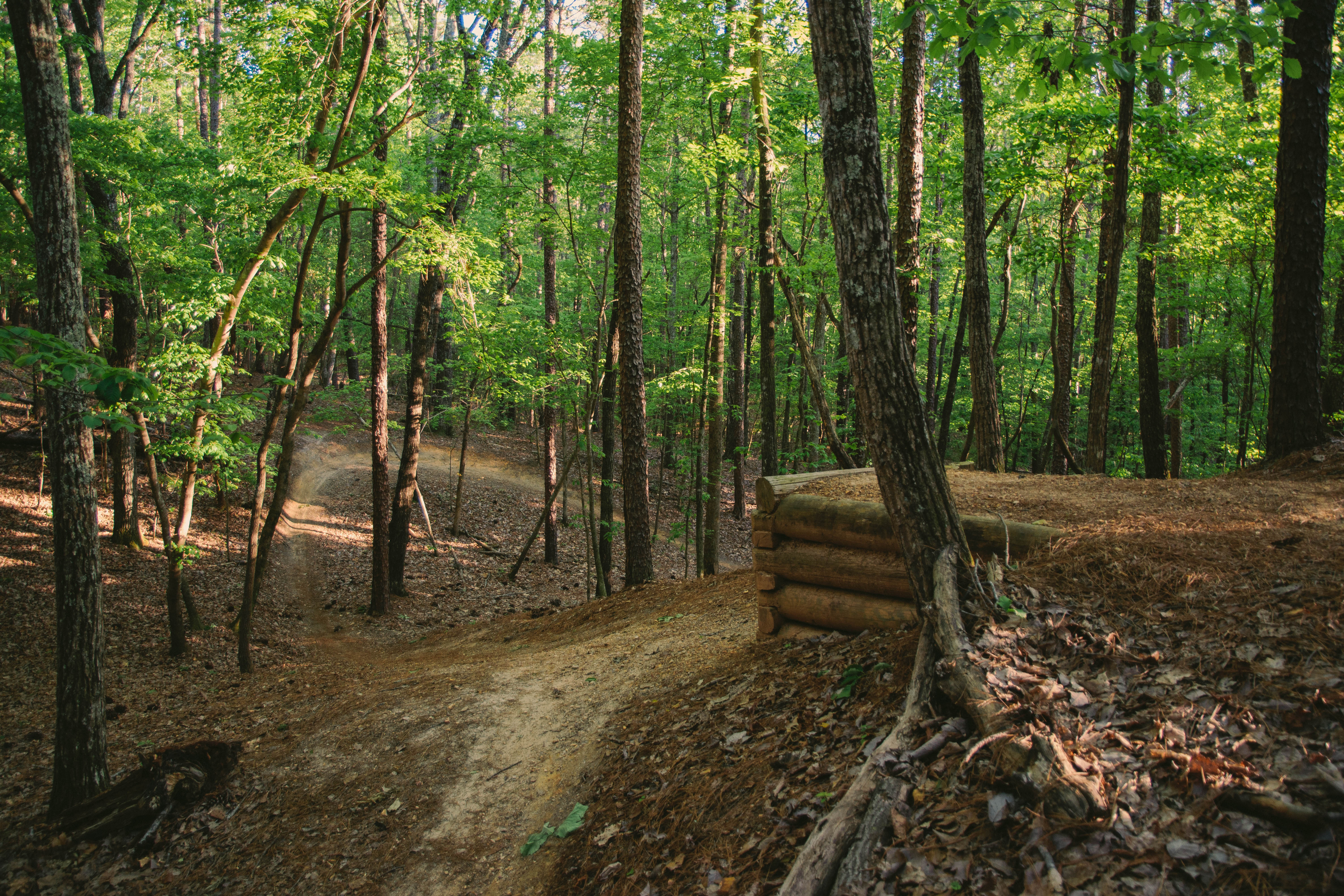 Mountain Bike at Oak Mountain State Park