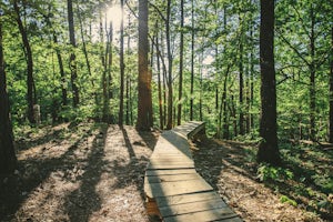 Mountain Bike at Oak Mountain State Park