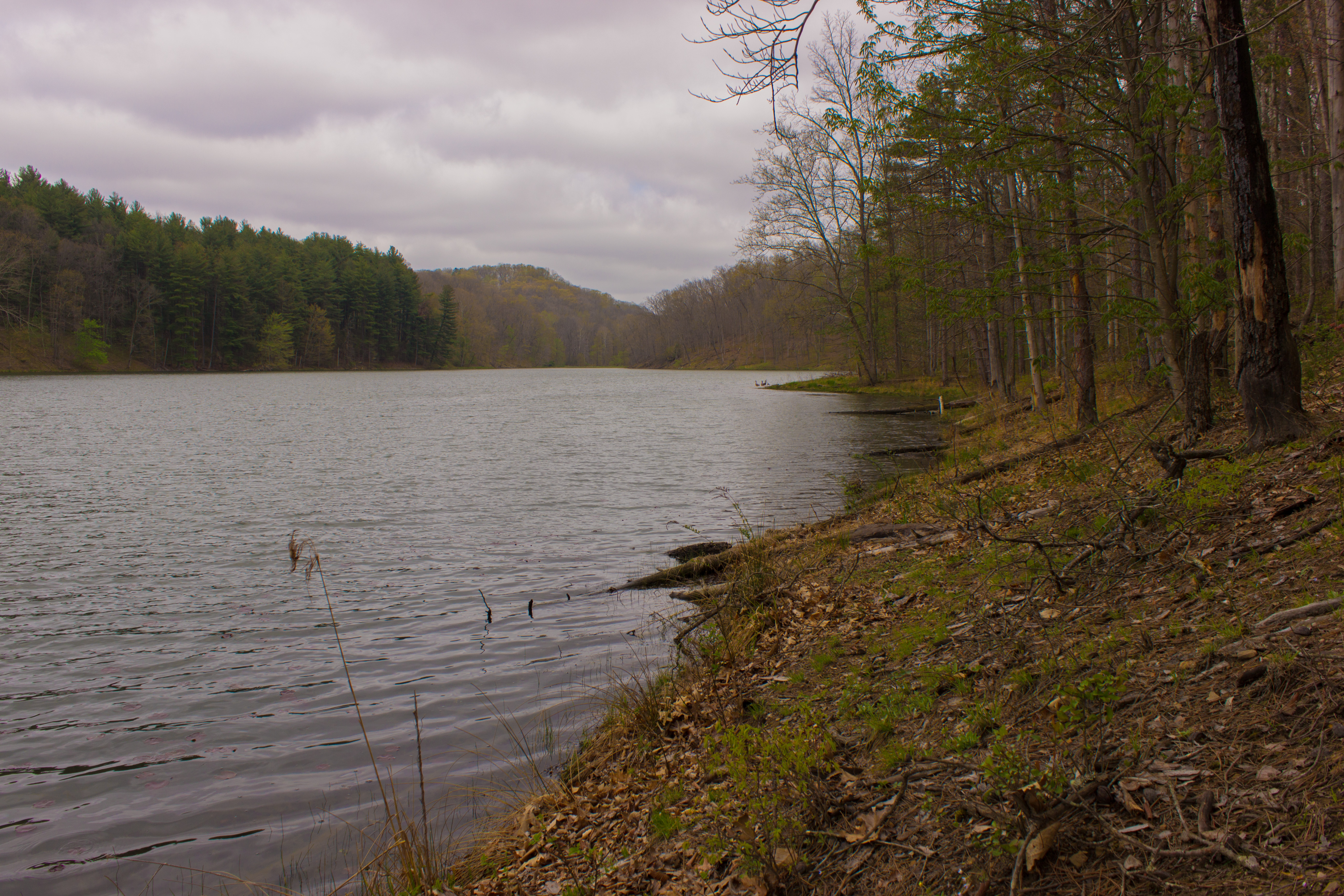 Hike Lake Hope's Peninsula Trail