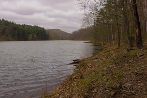 Hike Lake Hope's Peninsula Trail