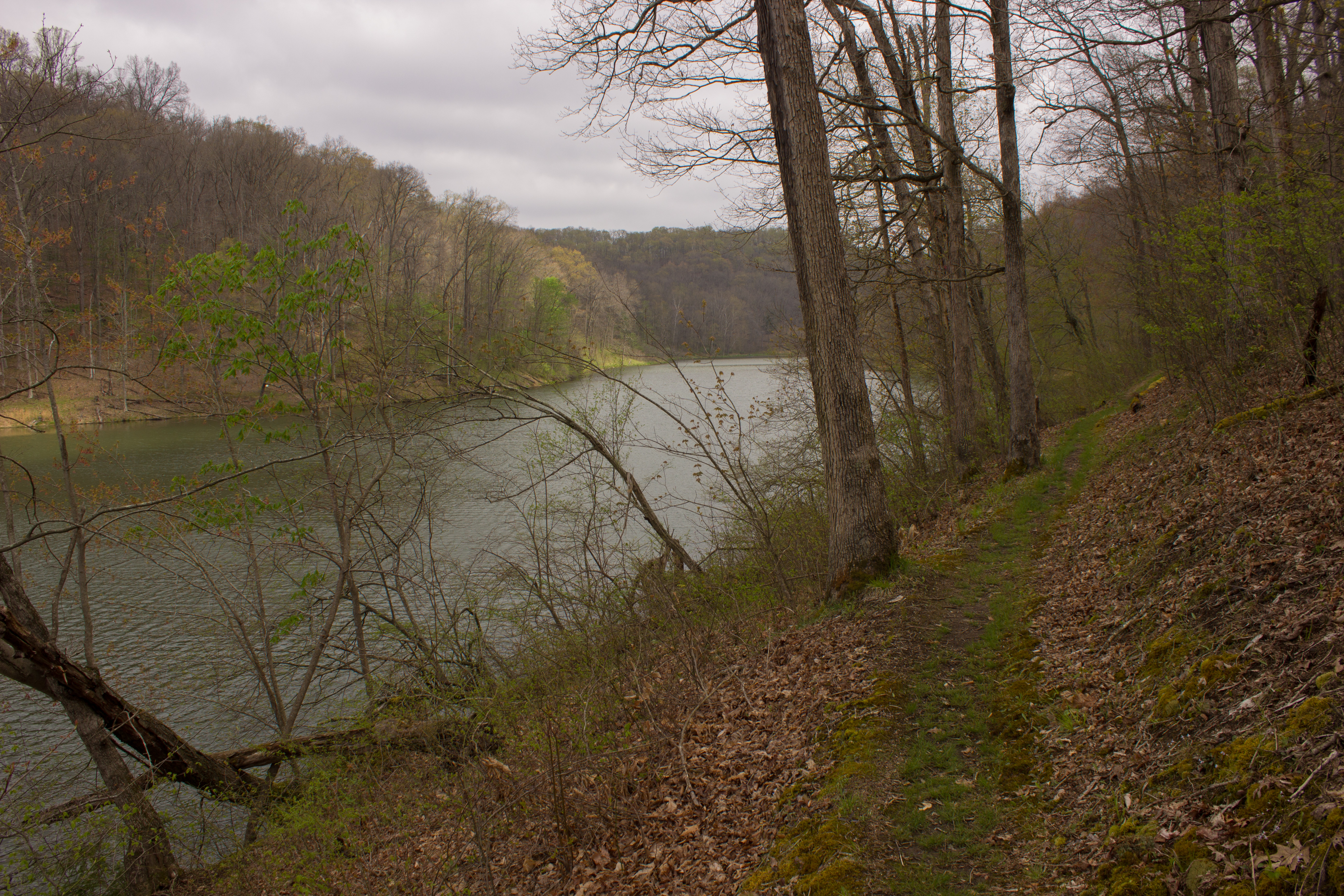 Hike Lake Hope's Peninsula Trail