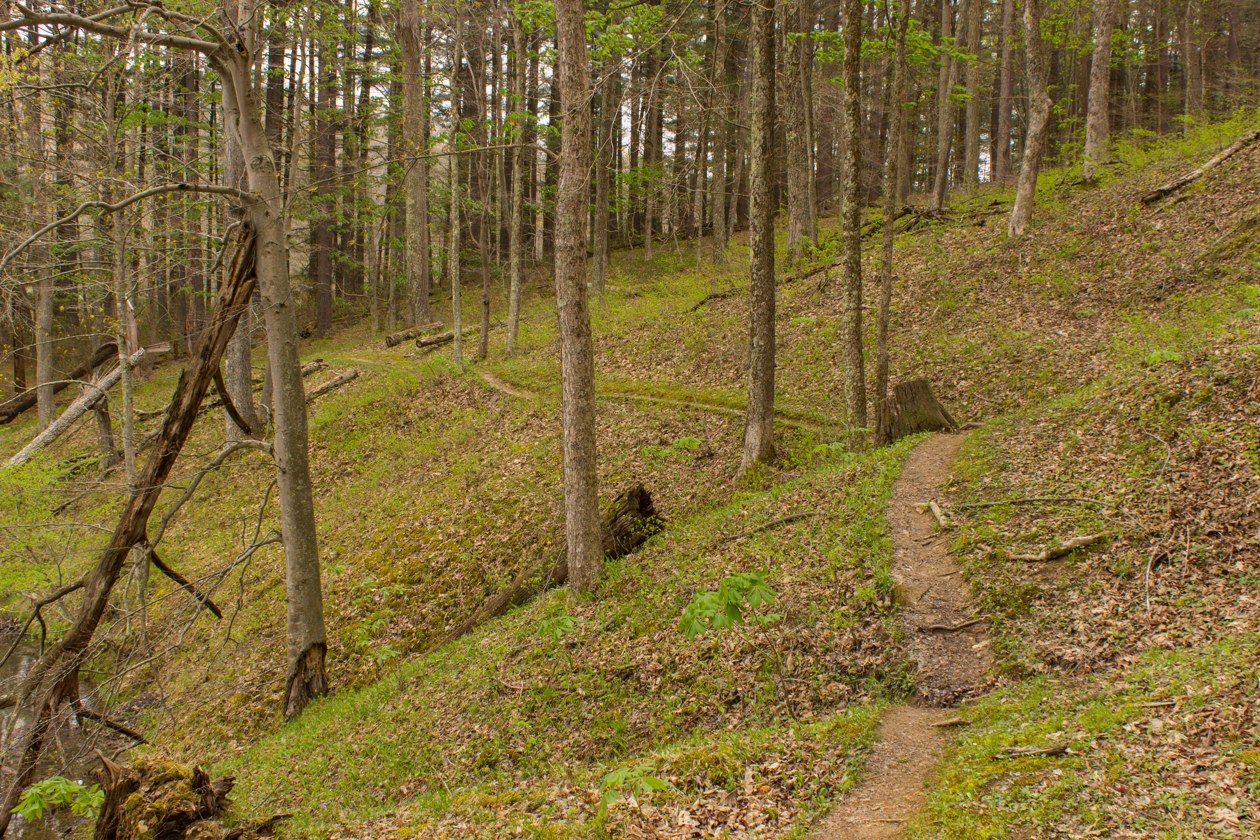 Hike Lake Hope's Peninsula Trail