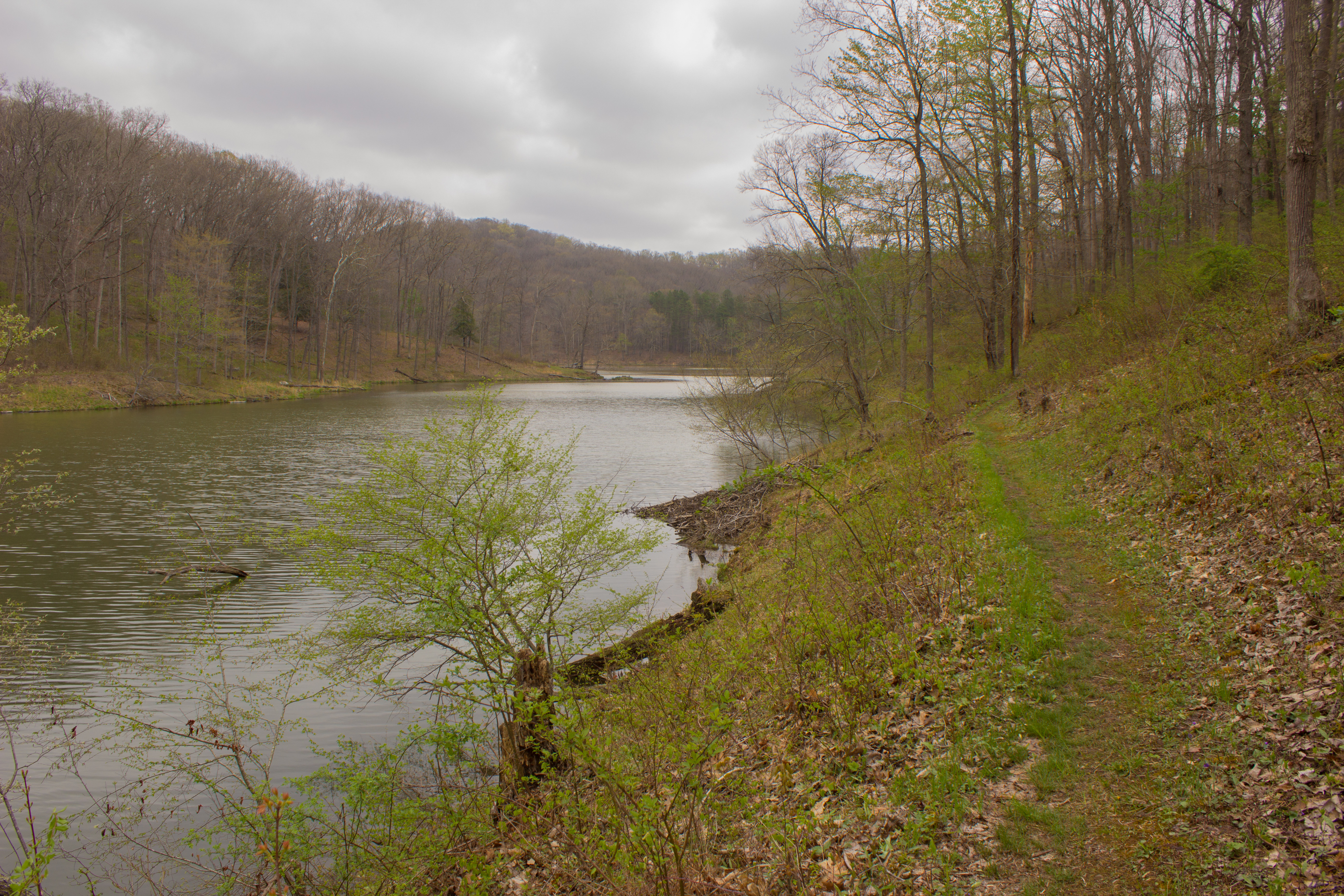 Hike Lake Hope's Peninsula Trail