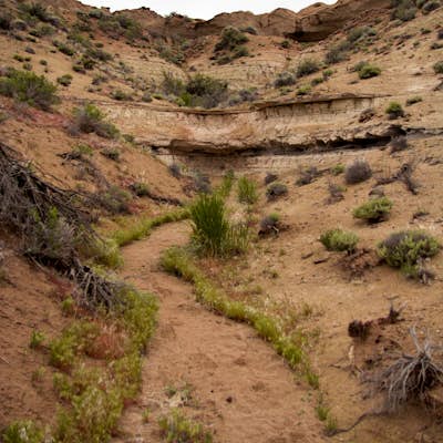 Hike the Oolite Interpretive Trail