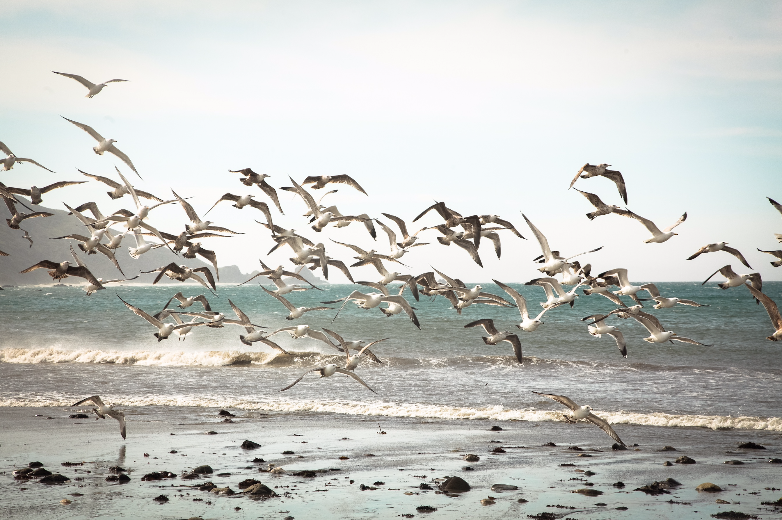 Camp at Andrew Molera State Park