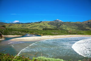 Camp at Andrew Molera State Park