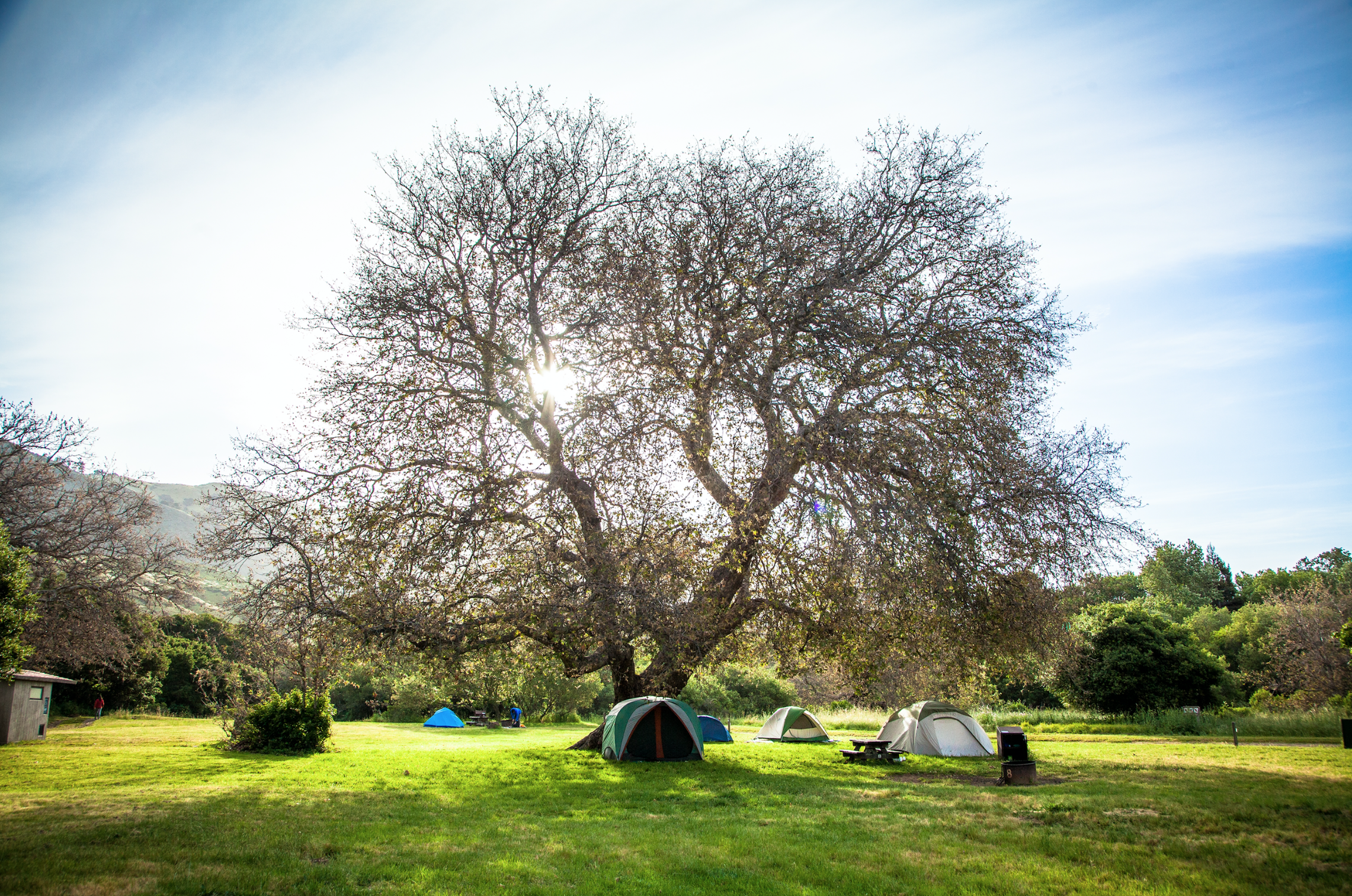 Camp at Andrew Molera State Park