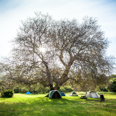 Camp at Andrew Molera State Park