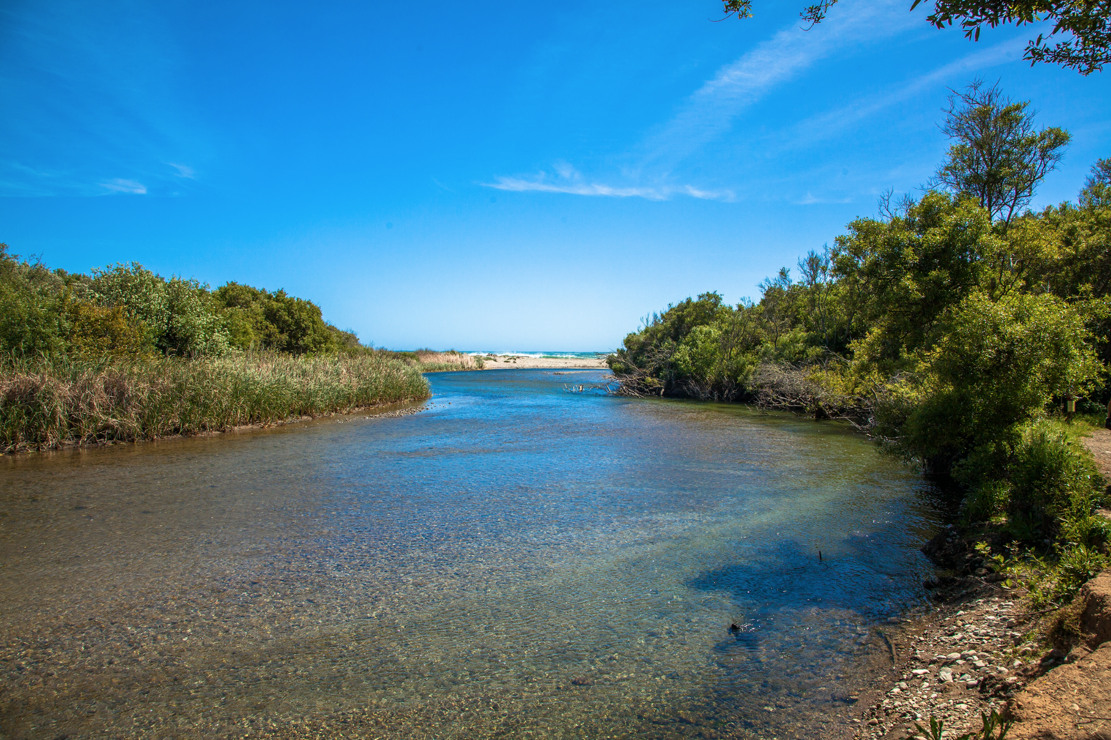 Camp at Andrew Molera State Park