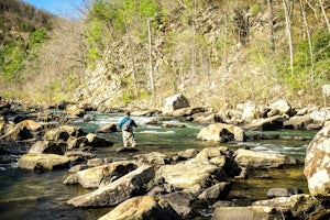 Fly Fish Goshen Pass