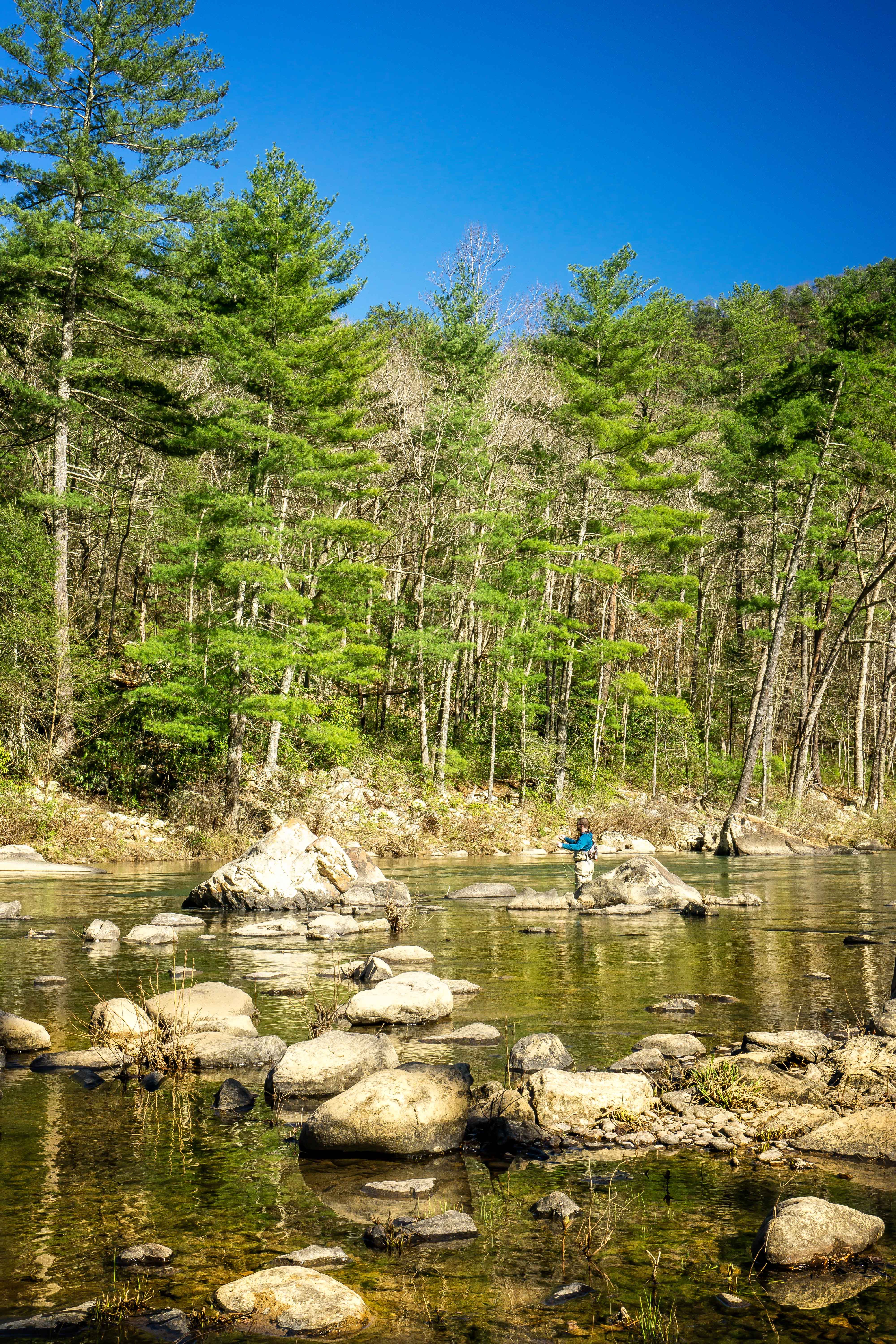 Fly Fish Goshen Pass