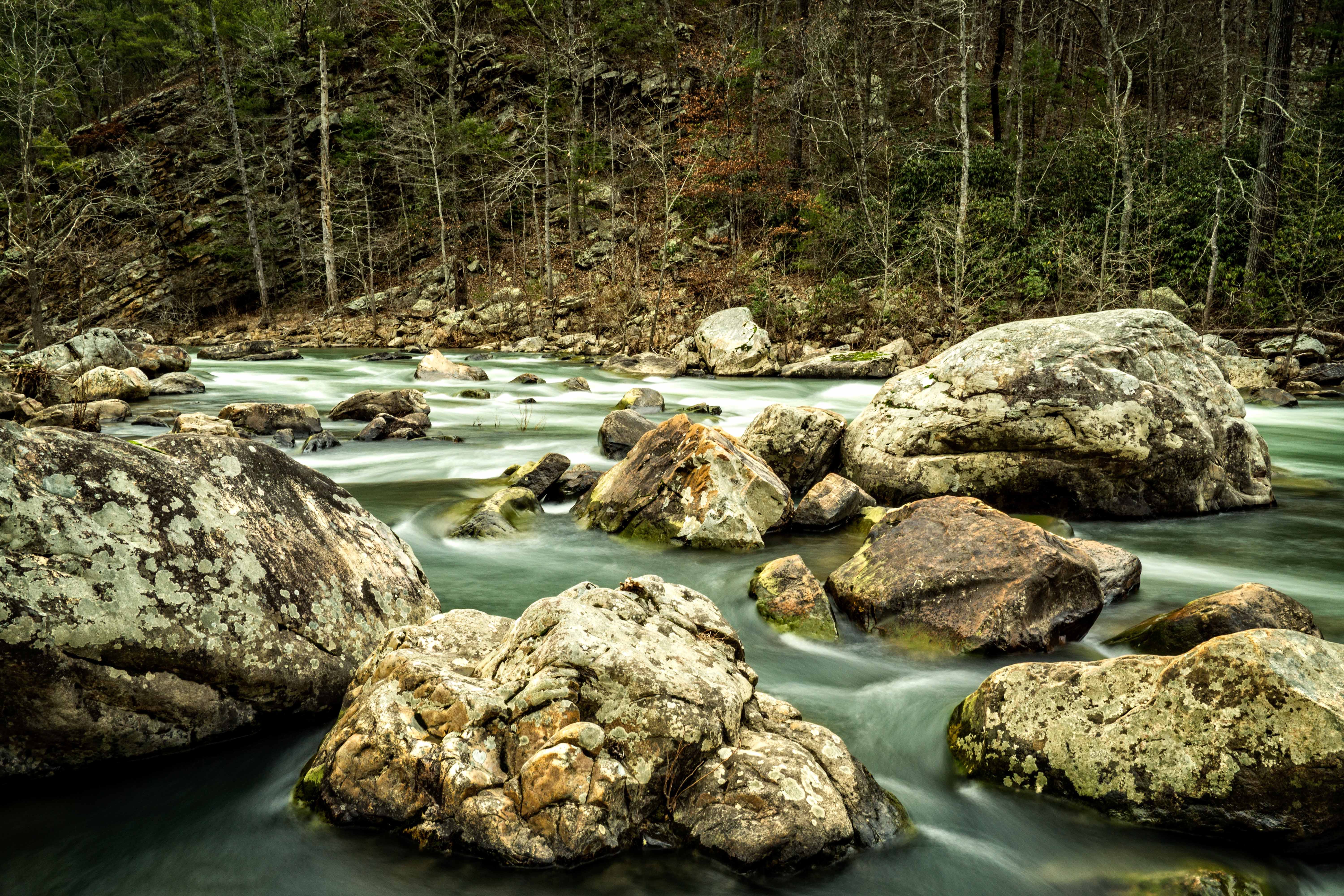 Fly Fish Goshen Pass