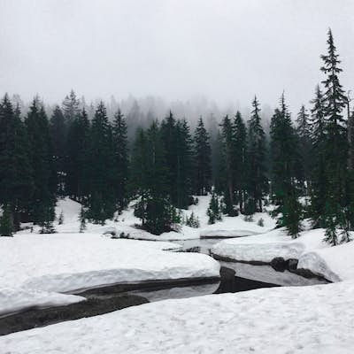 Foggy Dog Mountain Trail (Winter Trail) 
