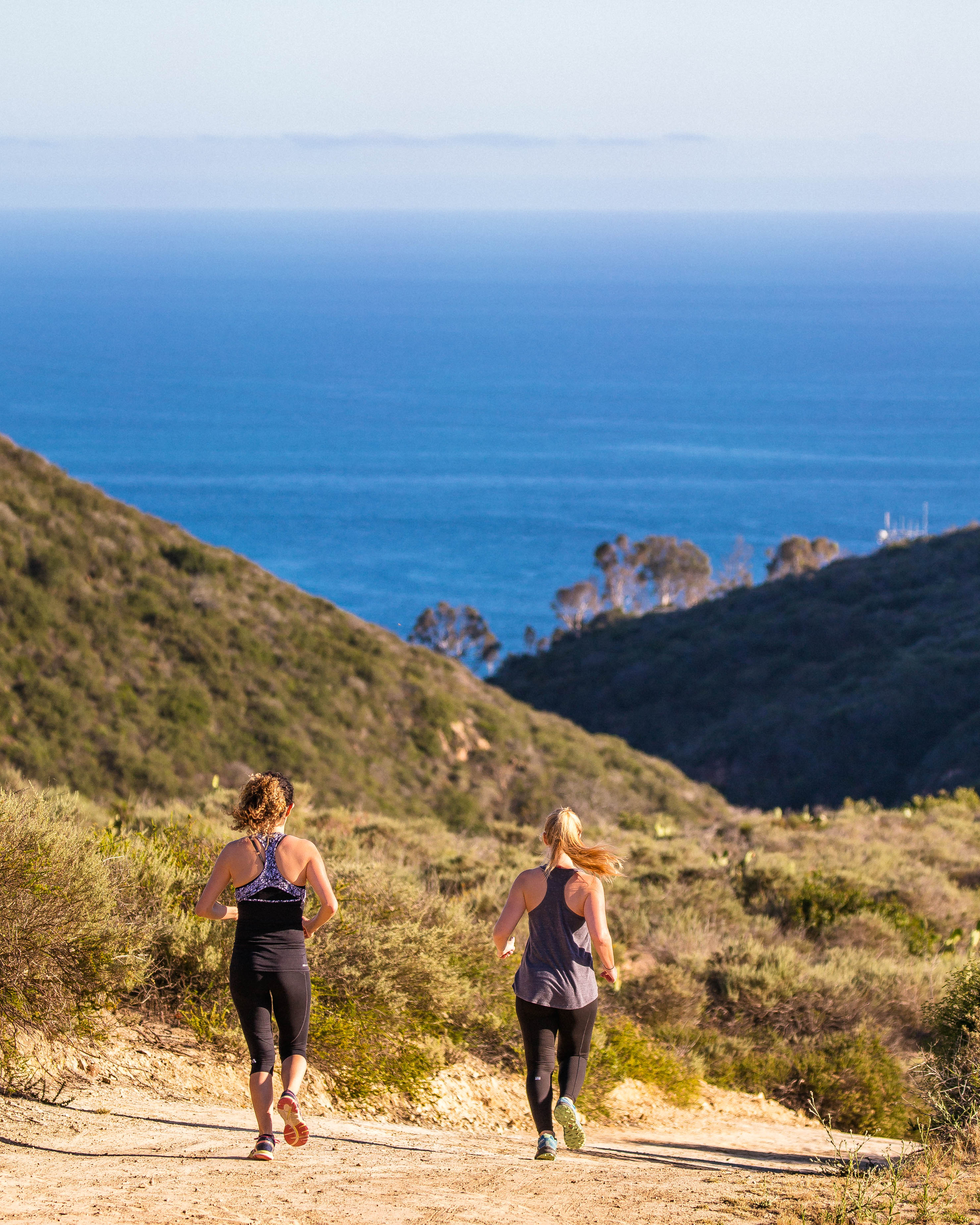Trail Run the Boat Road and Laguna Ridge
