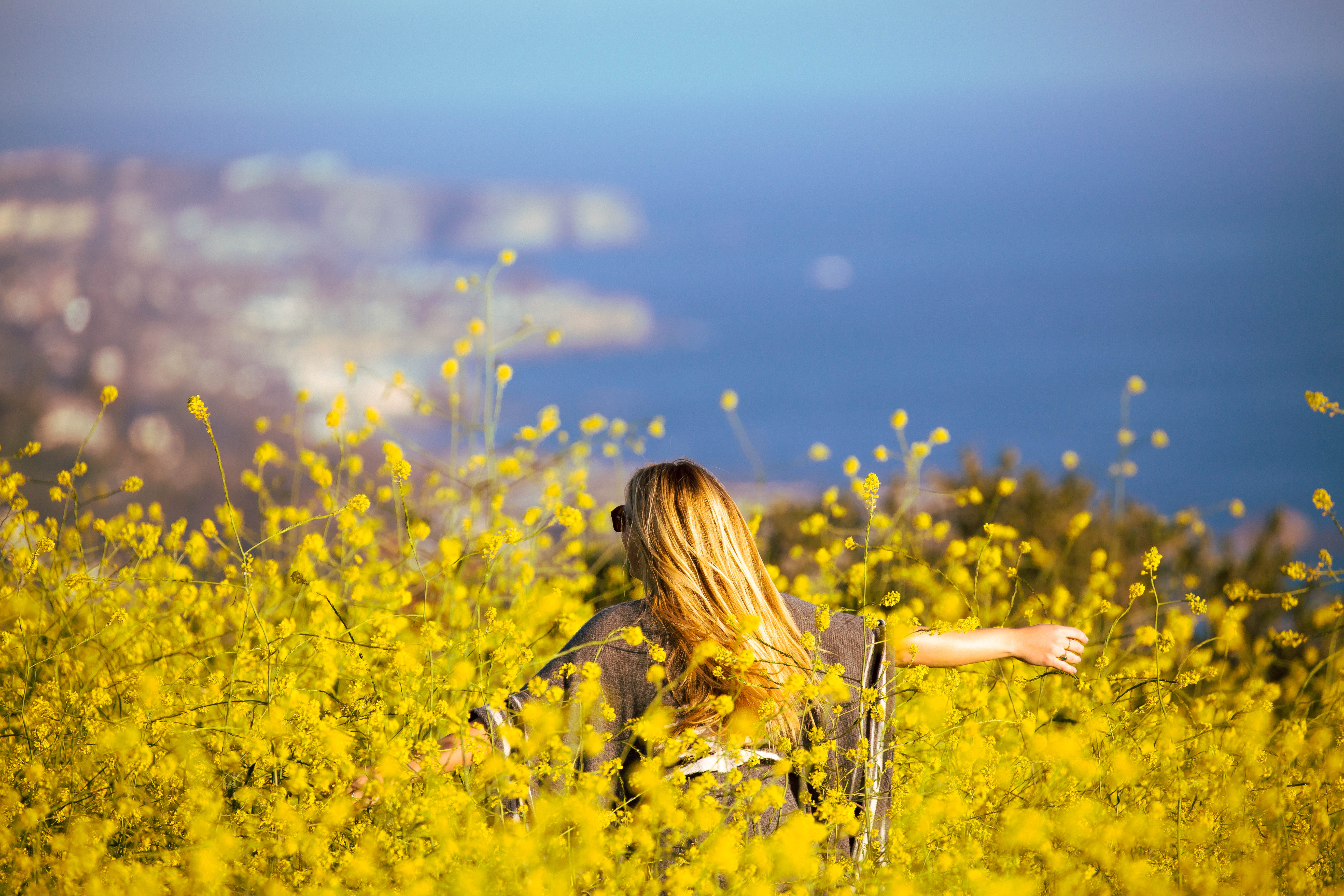 Trail Run the Boat Road and Laguna Ridge