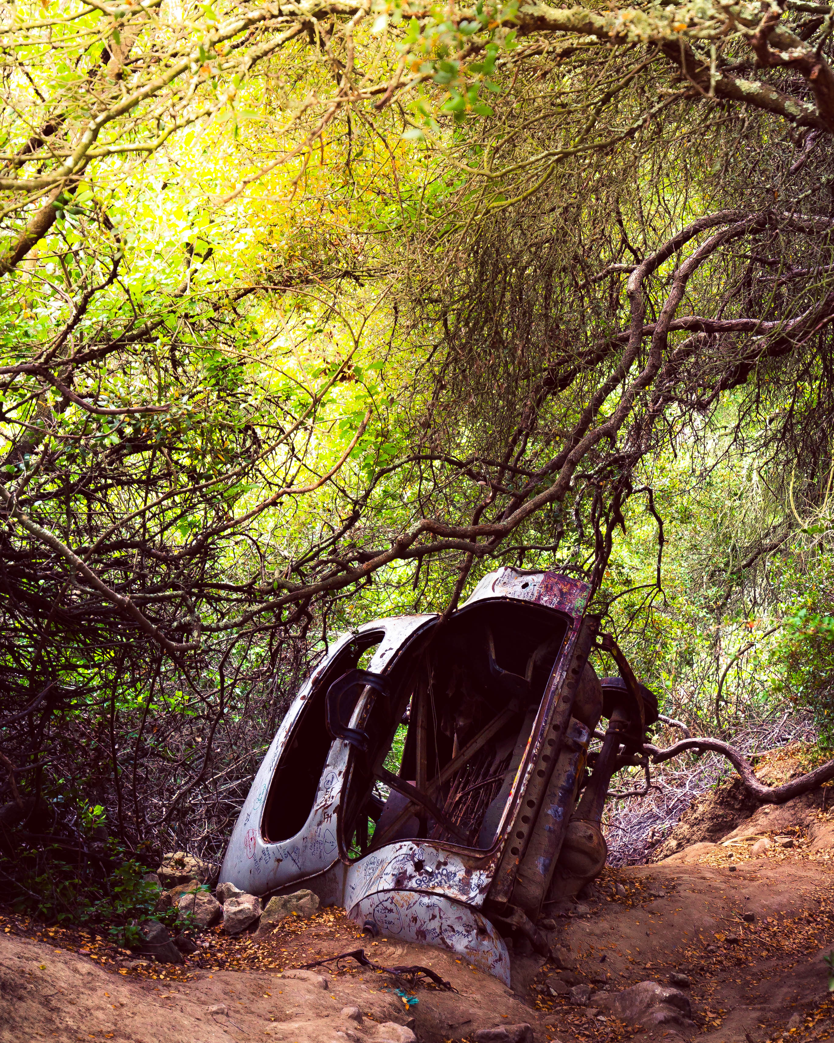 West Ridge to Car Wreck Trail and Mathis Canyon Loop