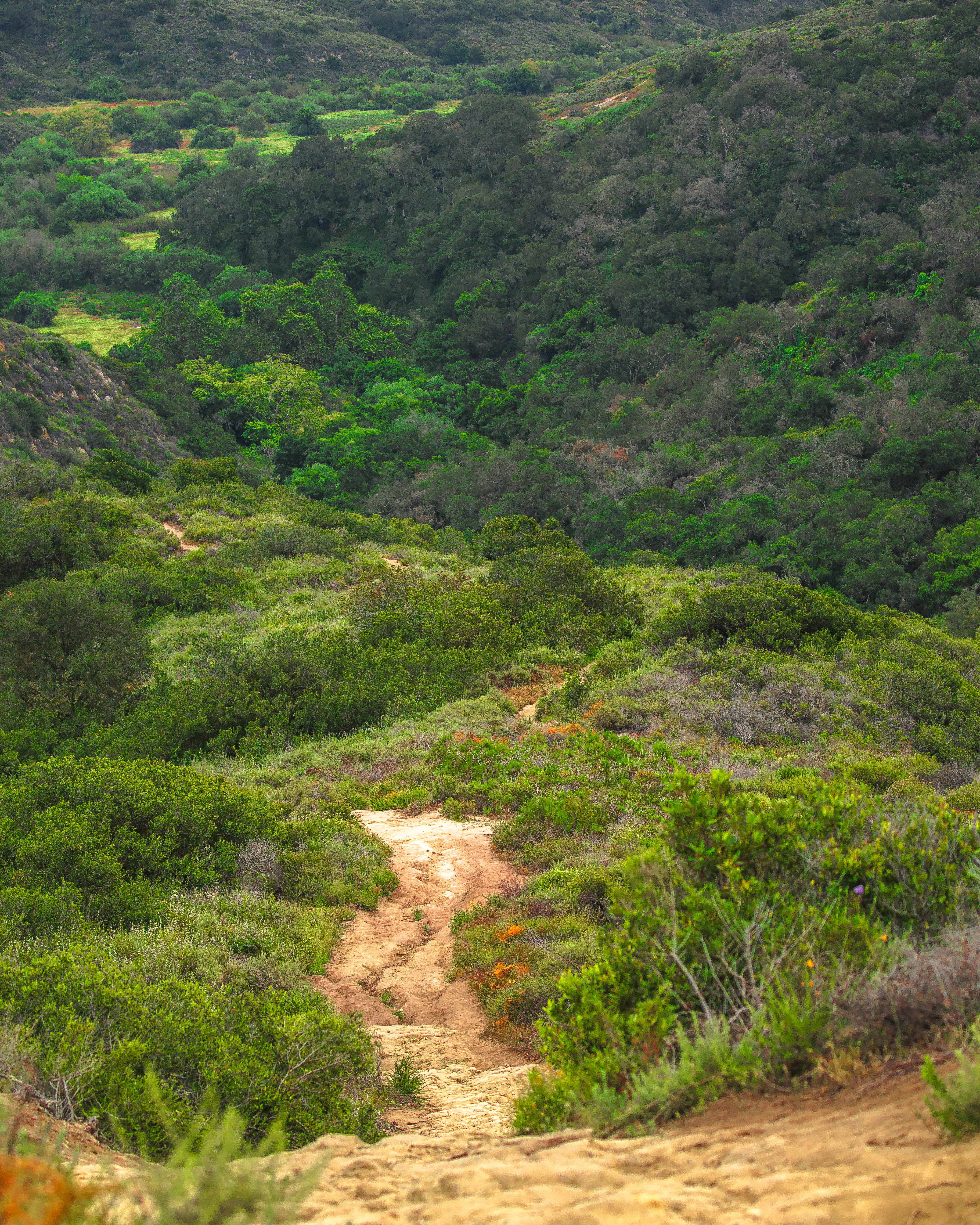 West Ridge to Car Wreck Trail and Mathis Canyon Loop
