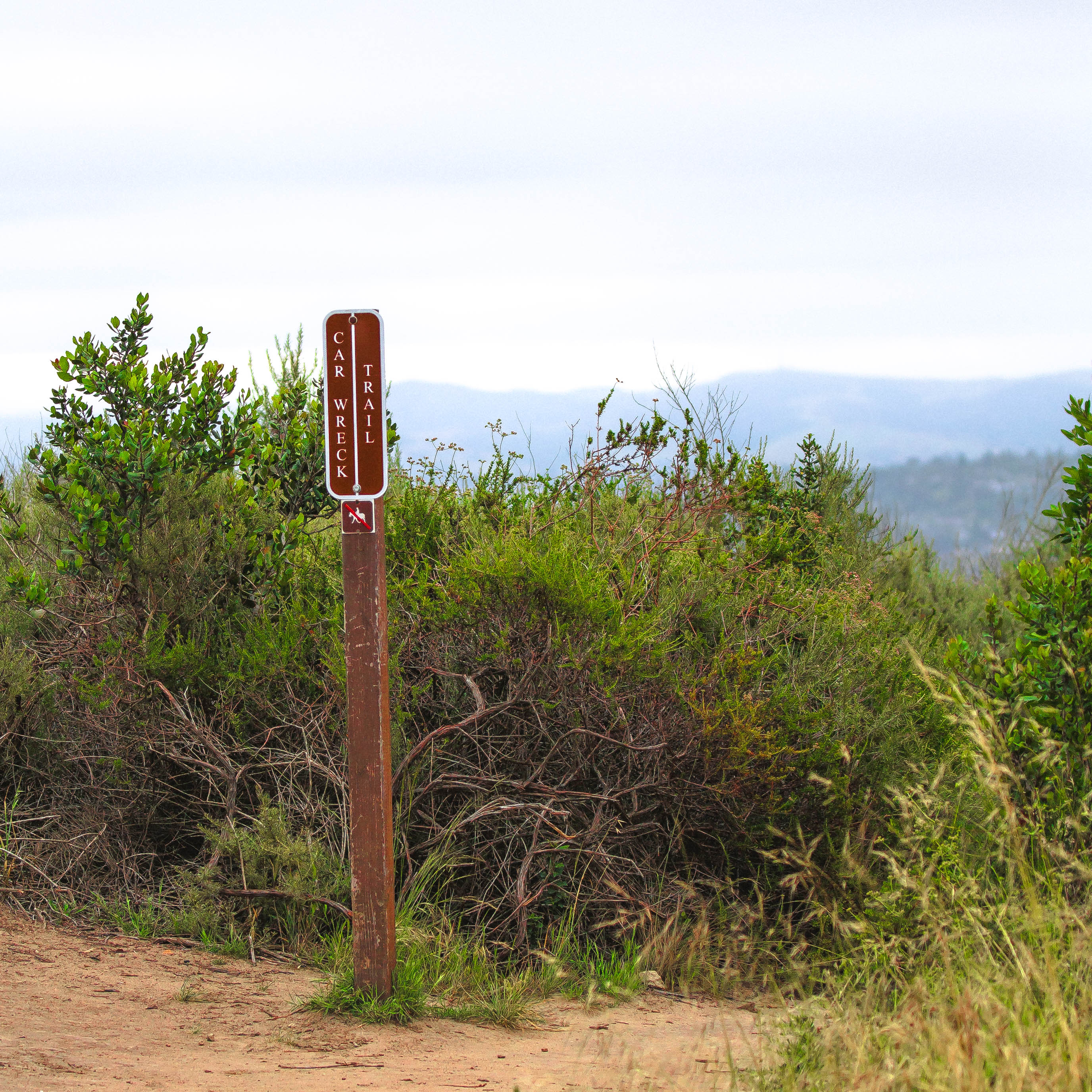 West Ridge to Car Wreck Trail and Mathis Canyon Loop