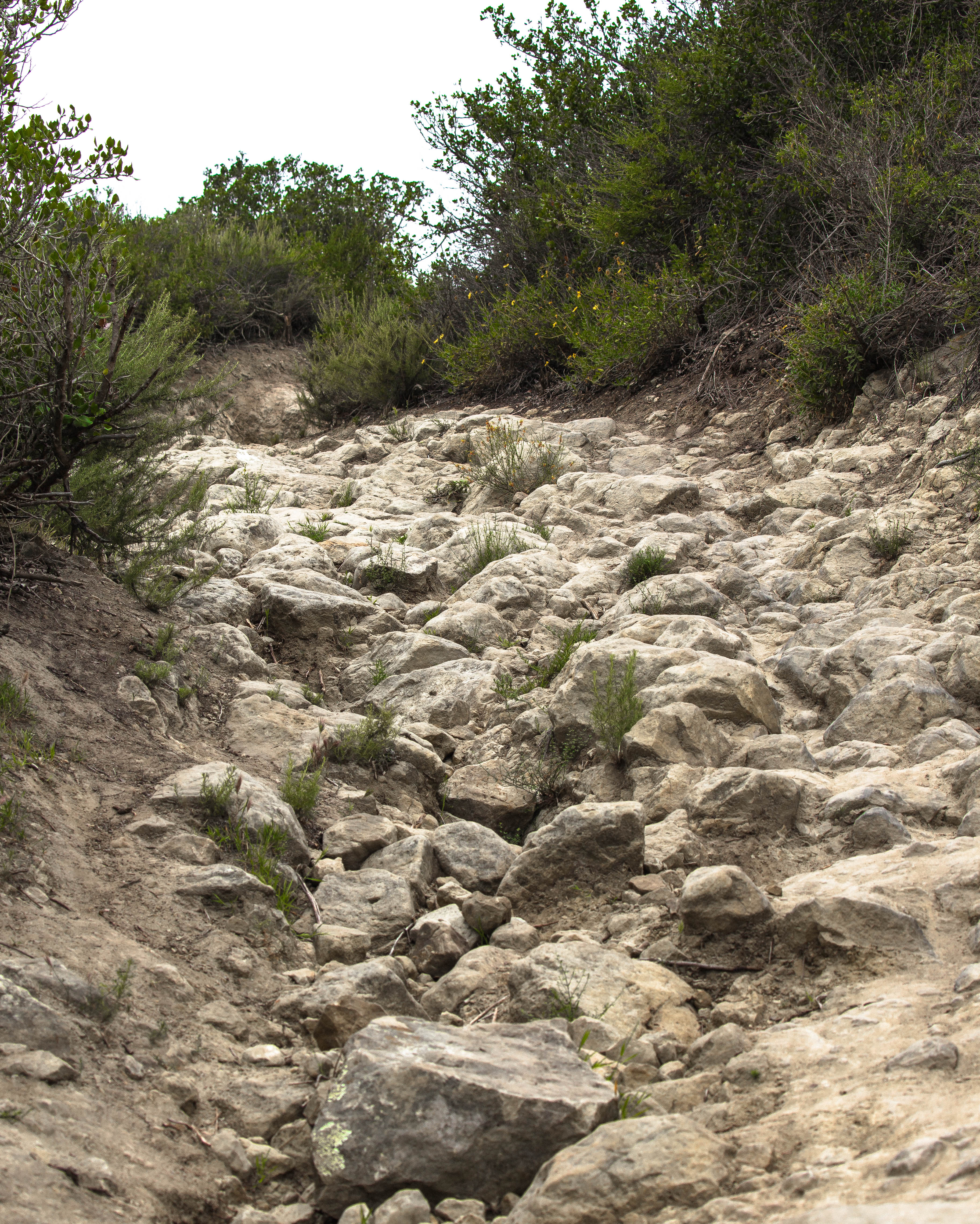 West Ridge to Car Wreck Trail and Mathis Canyon Loop