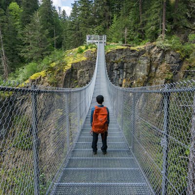 Hike to Elk River Falls & Suspension Bridge
