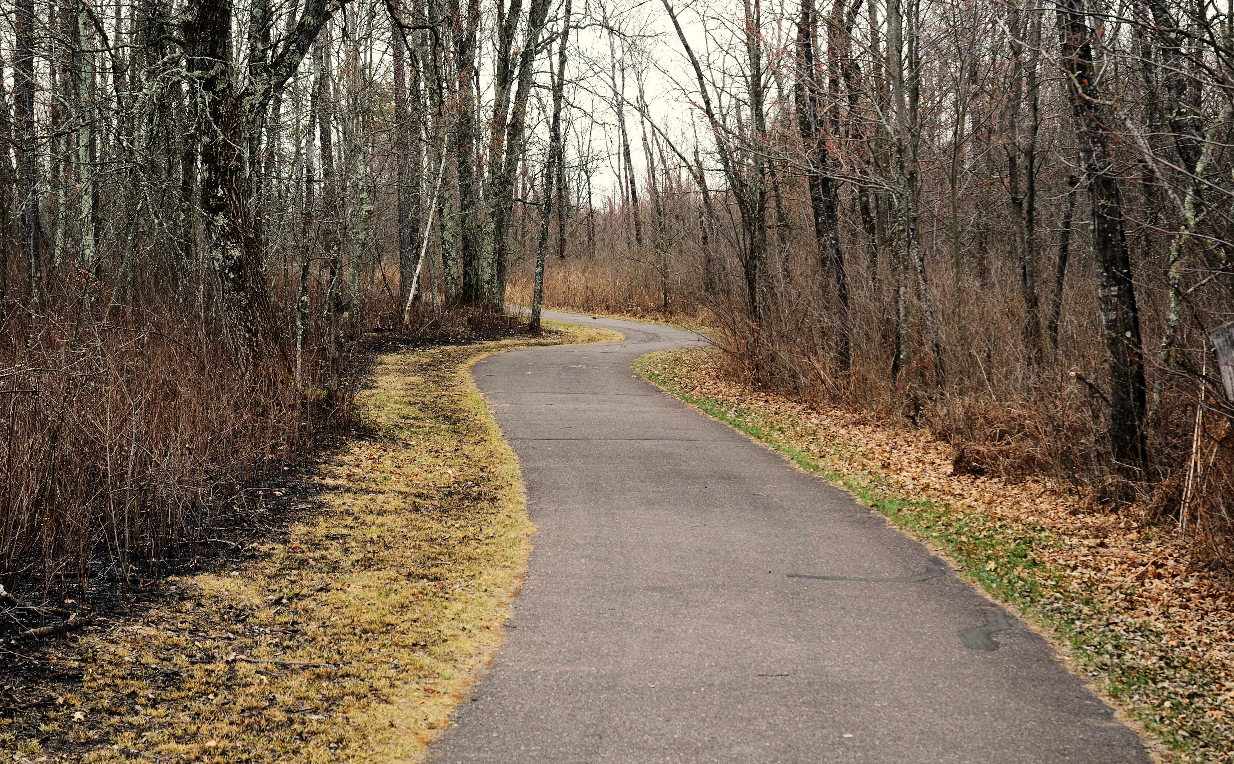 Bike the Paved Trail in St. Croix State Park, Hinckley, Minnesota