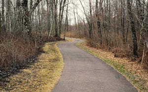 Bike the Paved Trail in St. Croix State Park