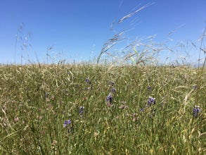 Hike San Mateo's Sugarloaf Mountain