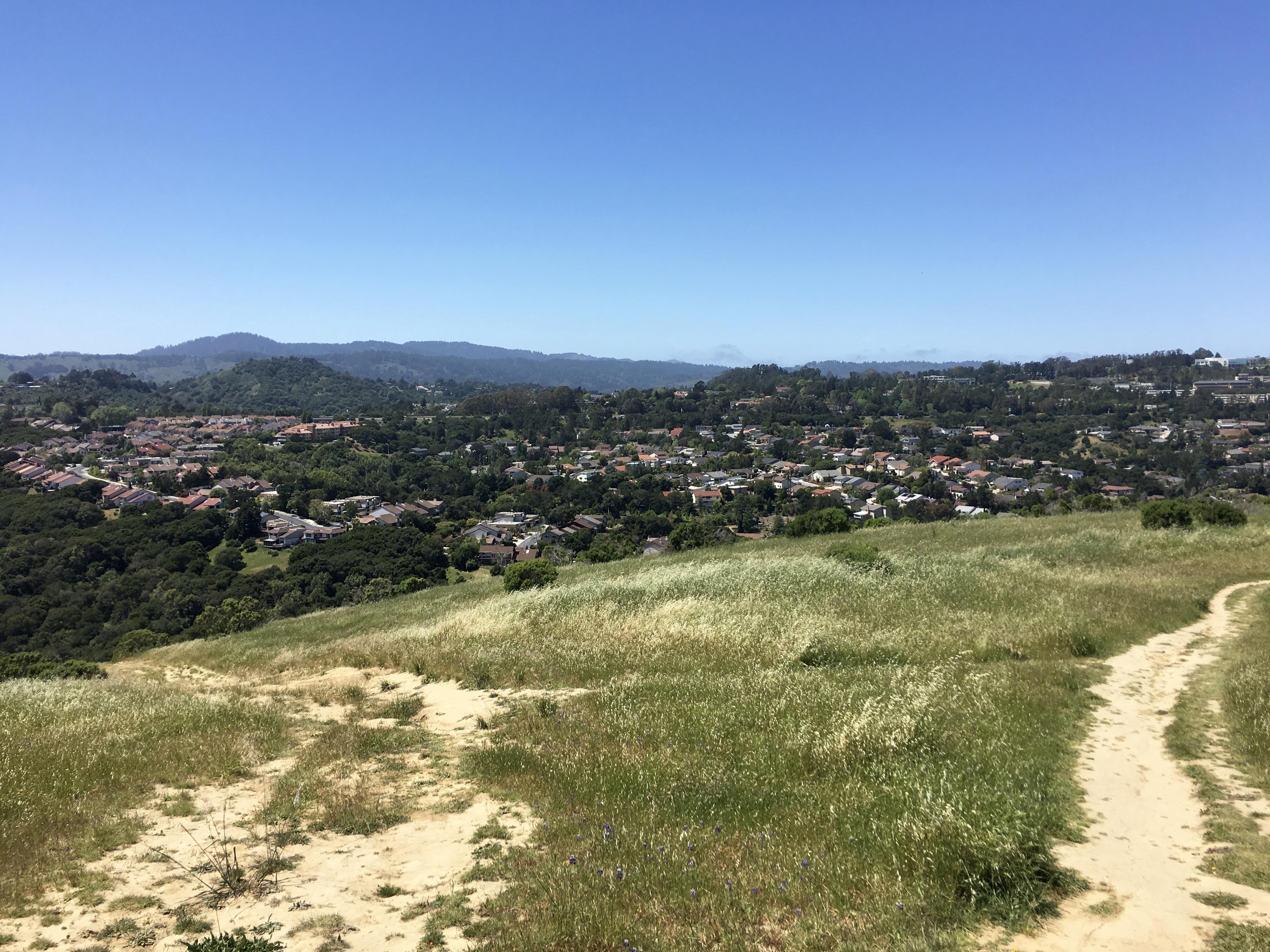 Sugarloaf Mountain