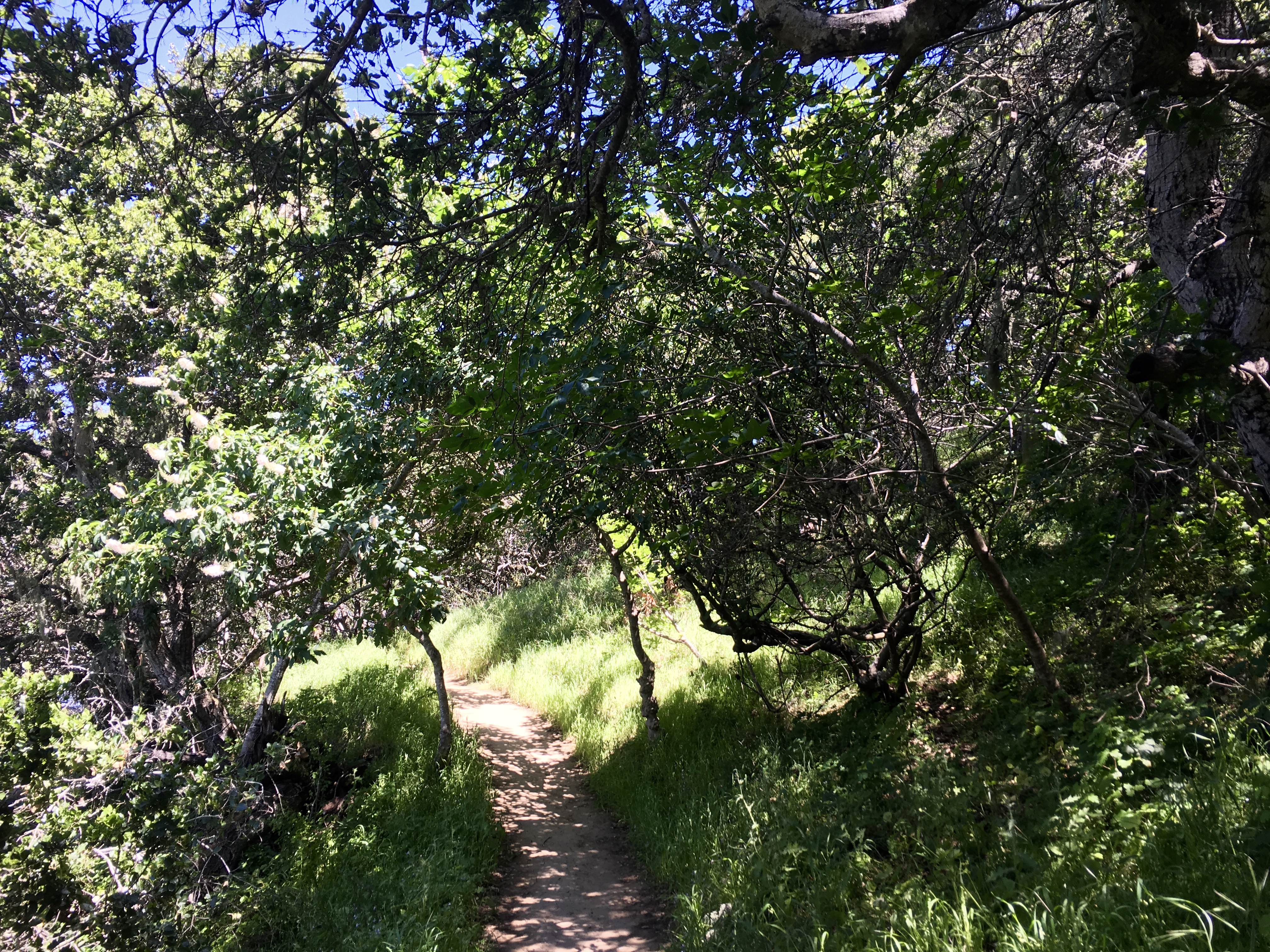 Sugarloaf Mountain