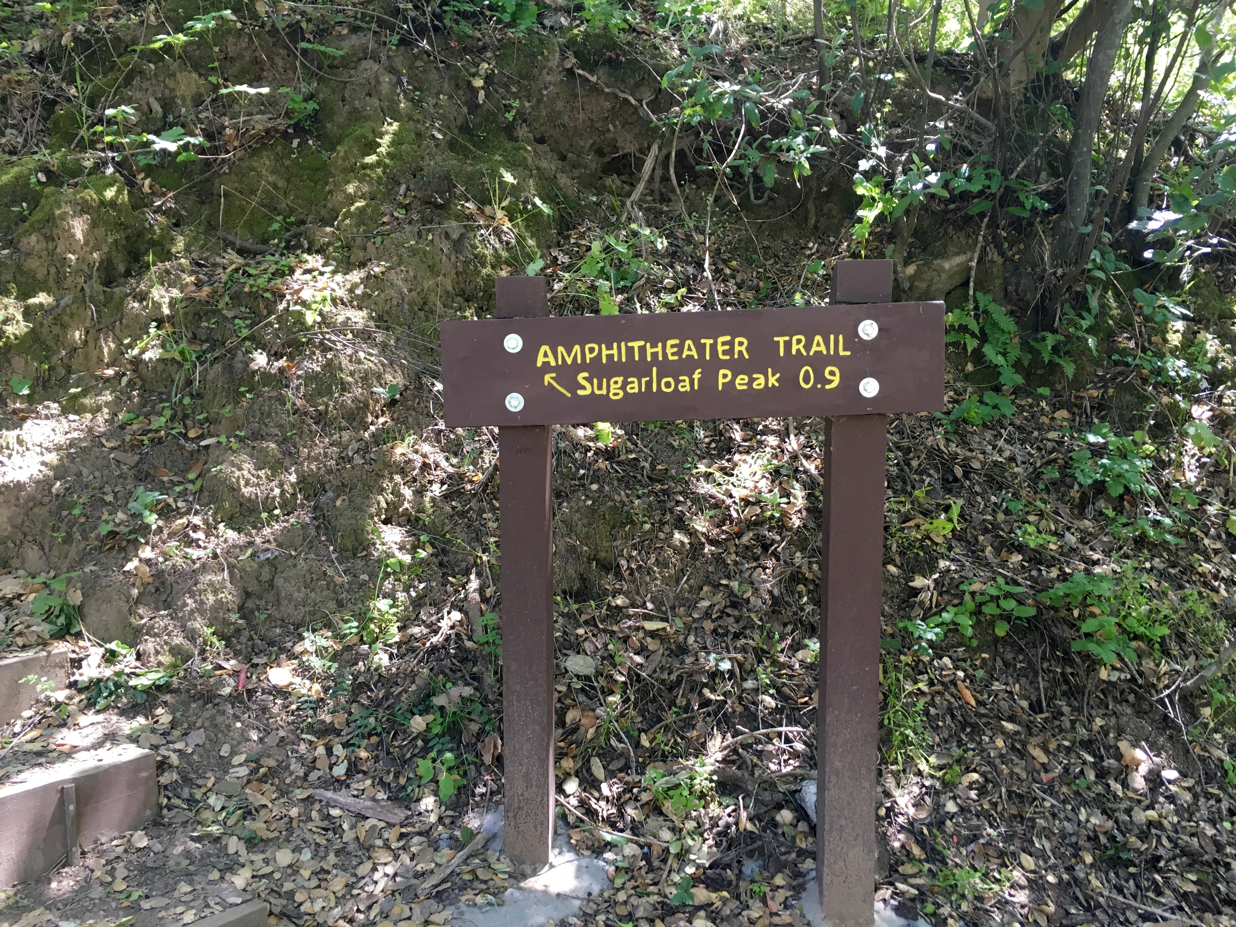 Sugarloaf Mountain