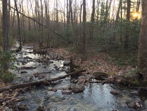 Camp at Tom's Run Shelter